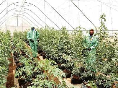 Agricultural Training Services